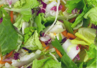 Garten Mix Salatmischung 